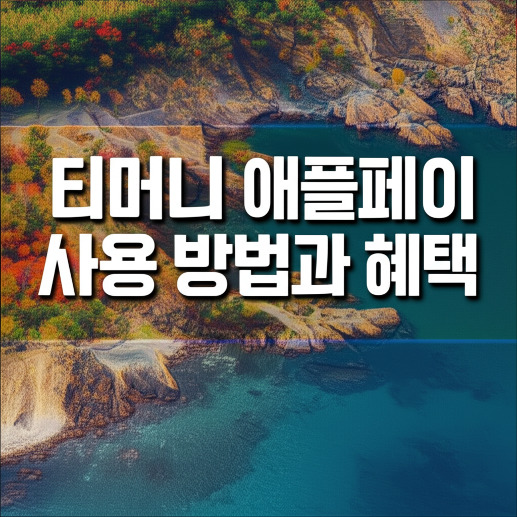 티머니 애플페이 썸네일