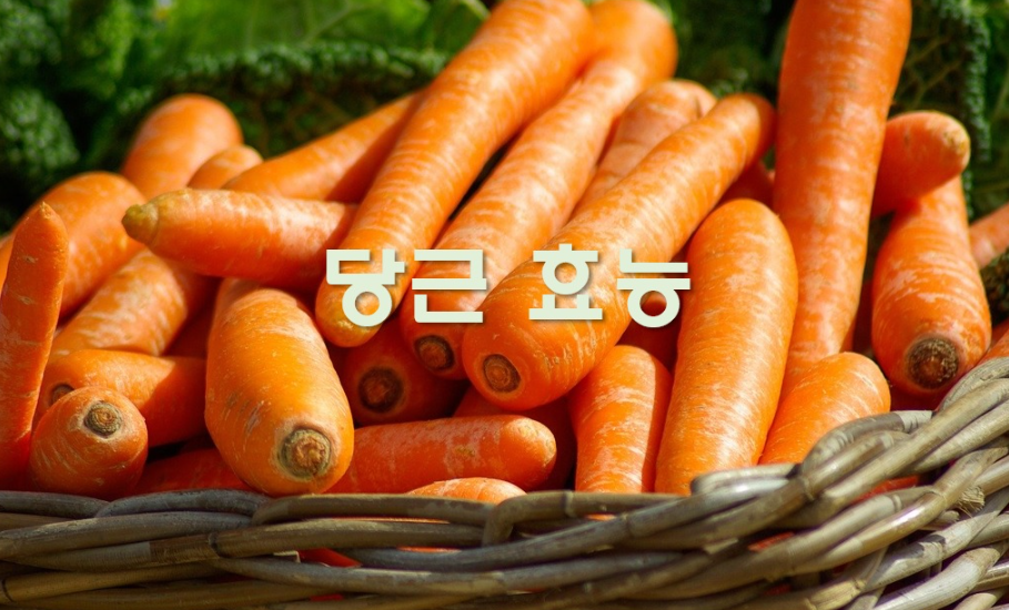 당근 효능 썸네일