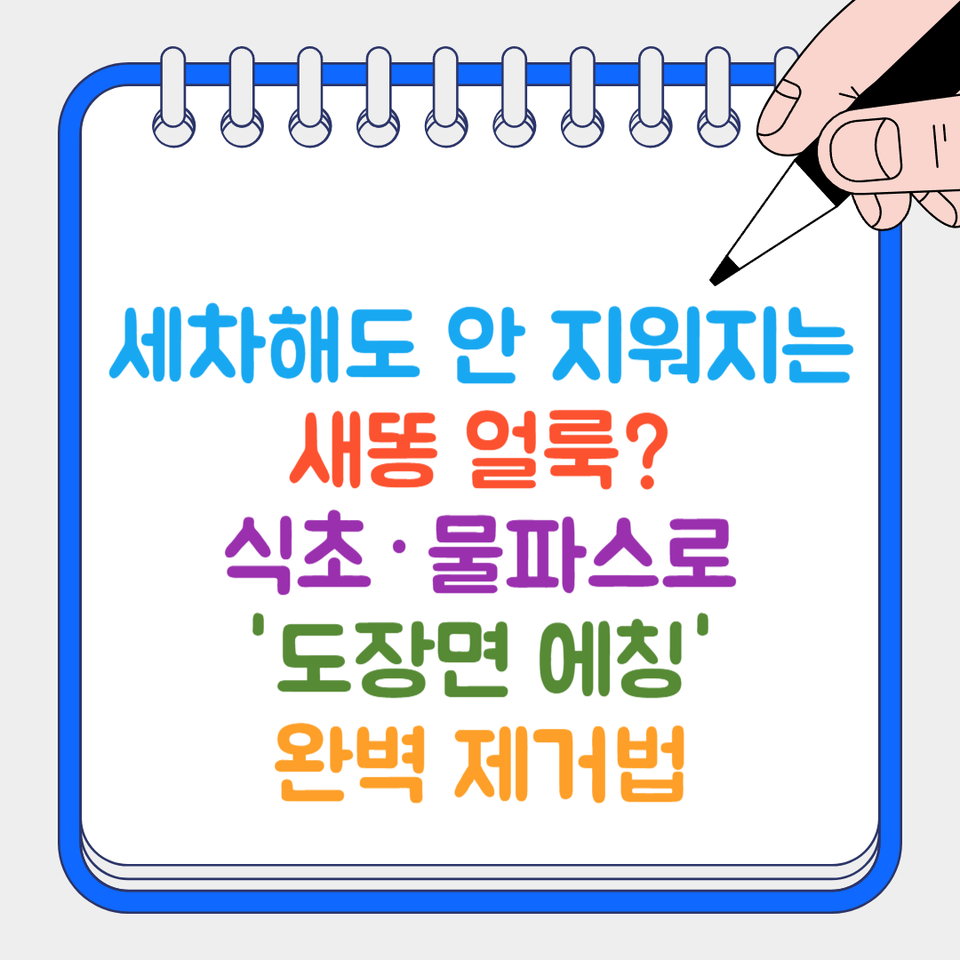 새똥 얼룩 썸네일